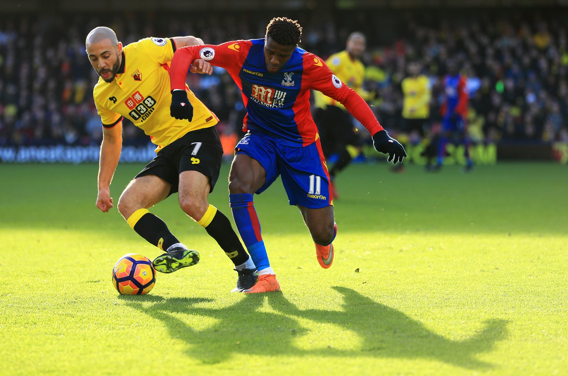 费来平衡账 费来平衡账